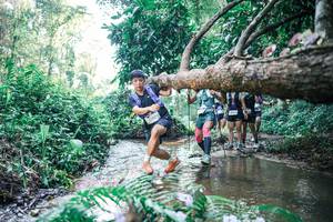 BIB: 
                            <button type="button" onclick="openModal(25444202)" class="btn btn-primary btn-sm float-right btn-popup" data-toggle="modal" data-target=".modal-high-quality">
                        <i class="fas fa-shopping-cart"></i> Add to Cart
                    </button>
                                            <button type="button" onclick="isThisMe(25444202, true)" class="btn btn-success btn-sm float-right btn-popup btn-isme hidden" data-toggle="tooltip" data-placement="bottom" title="นี่คือรูปของคุณใช่ไหม คลิกที่นี่เพื่อเอาเข้าอัลบั้ม">
                        <i class="fas fa-plus"></i> Add to album
                    </button>
                    <button type="button" onclick="isThisMe(25444202, false)" class="btn btn-warning btn-sm float-right btn-popup btn-isnotme hidden">
                        <i class="fas fa-ban"></i> Remove from album
                    </button>